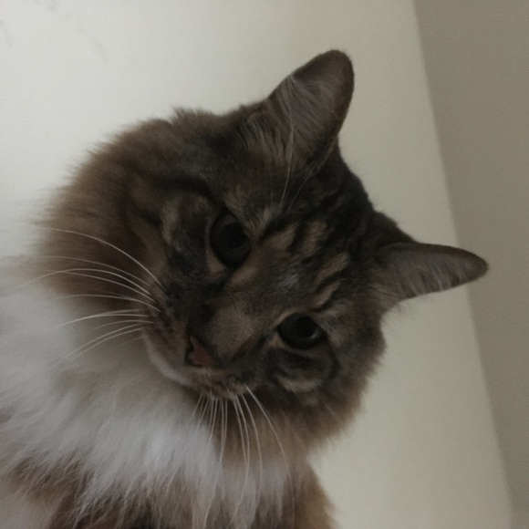 Meet your Posher, Lynn - Picture 1 of 1